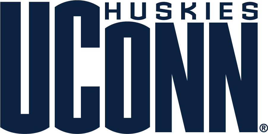 UConn Huskies 2010-2013 Secondary Logo diy iron on heat transfer...
